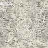 RC18080 10m x 1 06m Multi Color By Roberto Cavalli 7