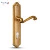 Comex Sandy Cylinder Door Handle Set- Gold