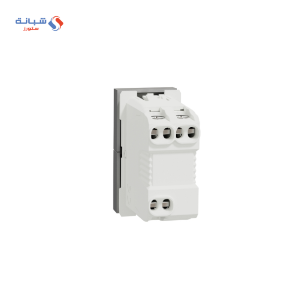 Schneider Curtain  Nail Switch 10ampere-silver