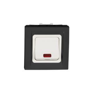 Schneider Air Conditioning Switch 32 Amp - Gray Lamp
