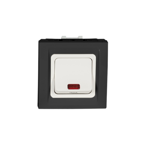 Schneider Air Conditioning Switch 32 Amp - Gray Lamp