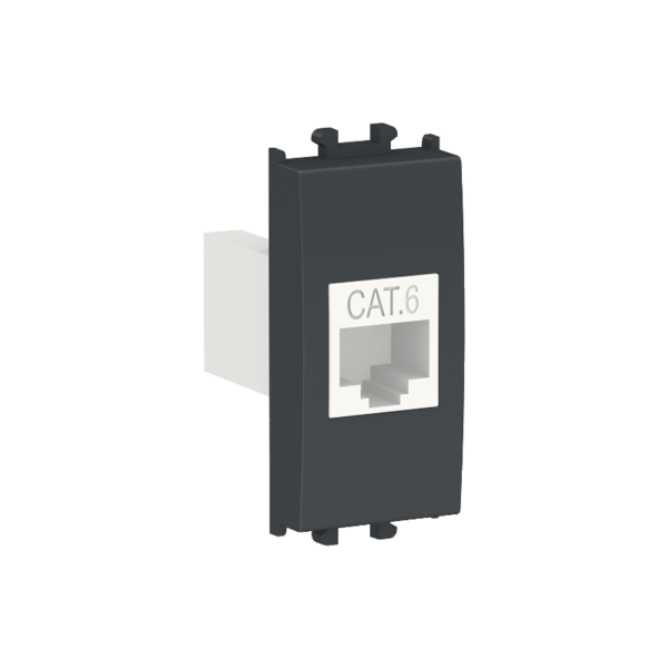Shabana Stores Schneider Data Socket Cat 6 Black 1 New