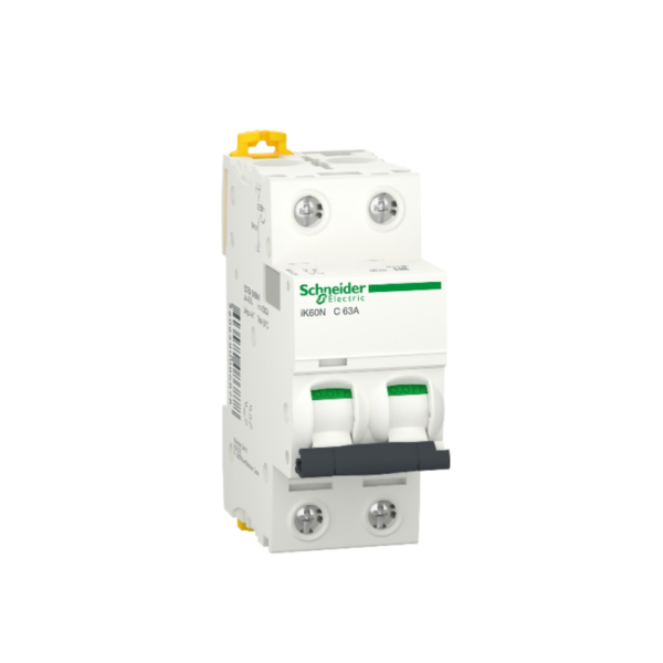 Schneider Double Switch 63 Amp - 6 K