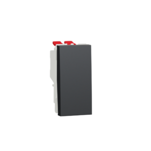 Schneider Switch Usually Medium10 Amp-black