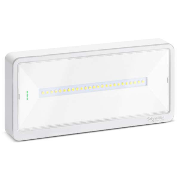 Schneider Emergency Light - White